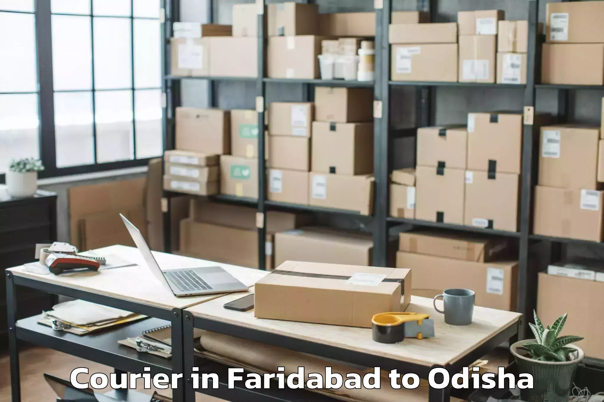 Book Faridabad to Karanjia Courier Online